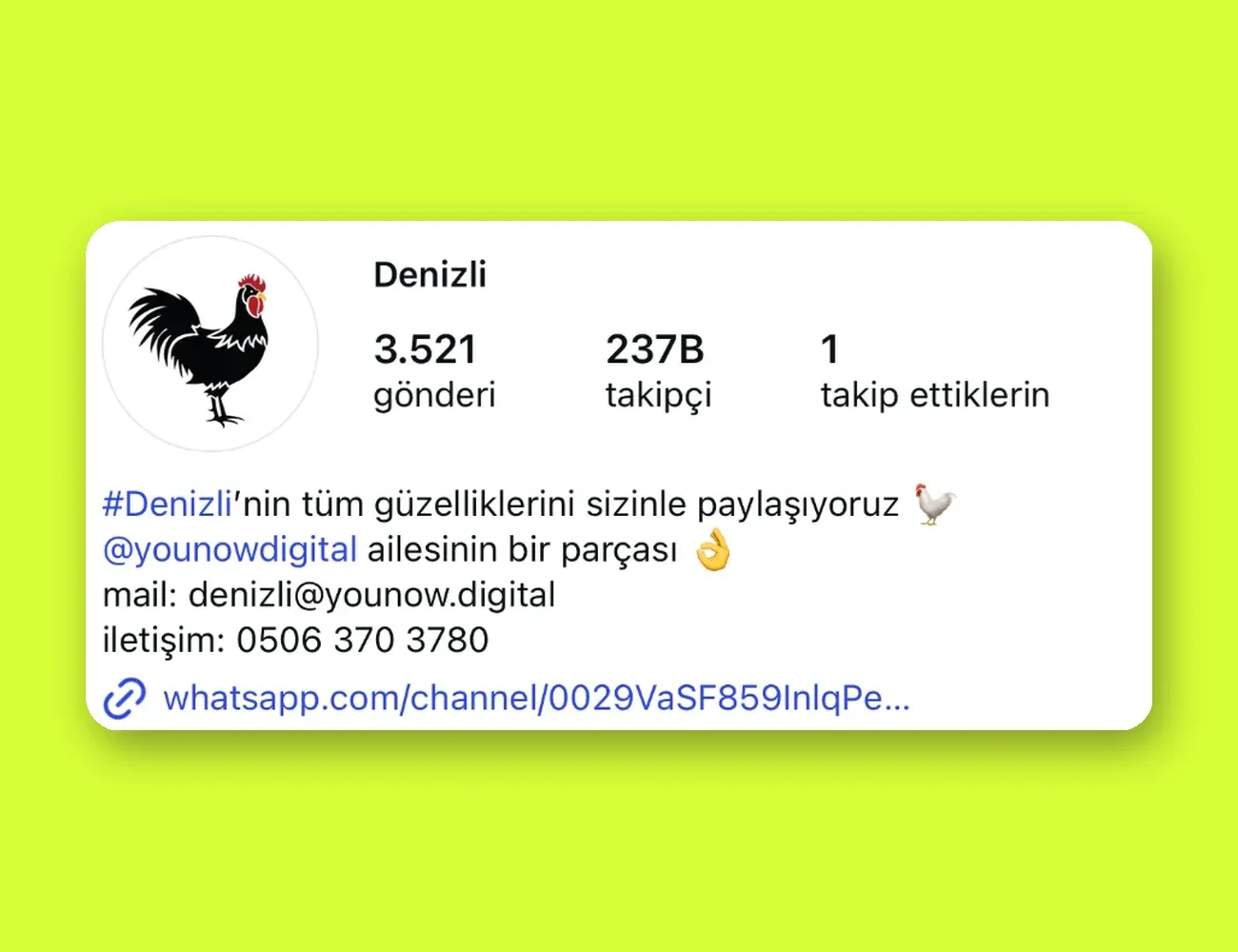 @denizli Instagram sayfası: 3.521 gönderi, 237 bin takipçi, You Now Digital ailesinin bir parçası