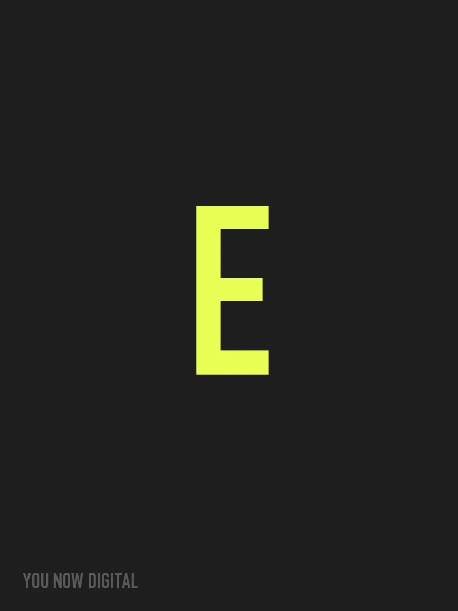 Erdem Ekinci — You Now Digital